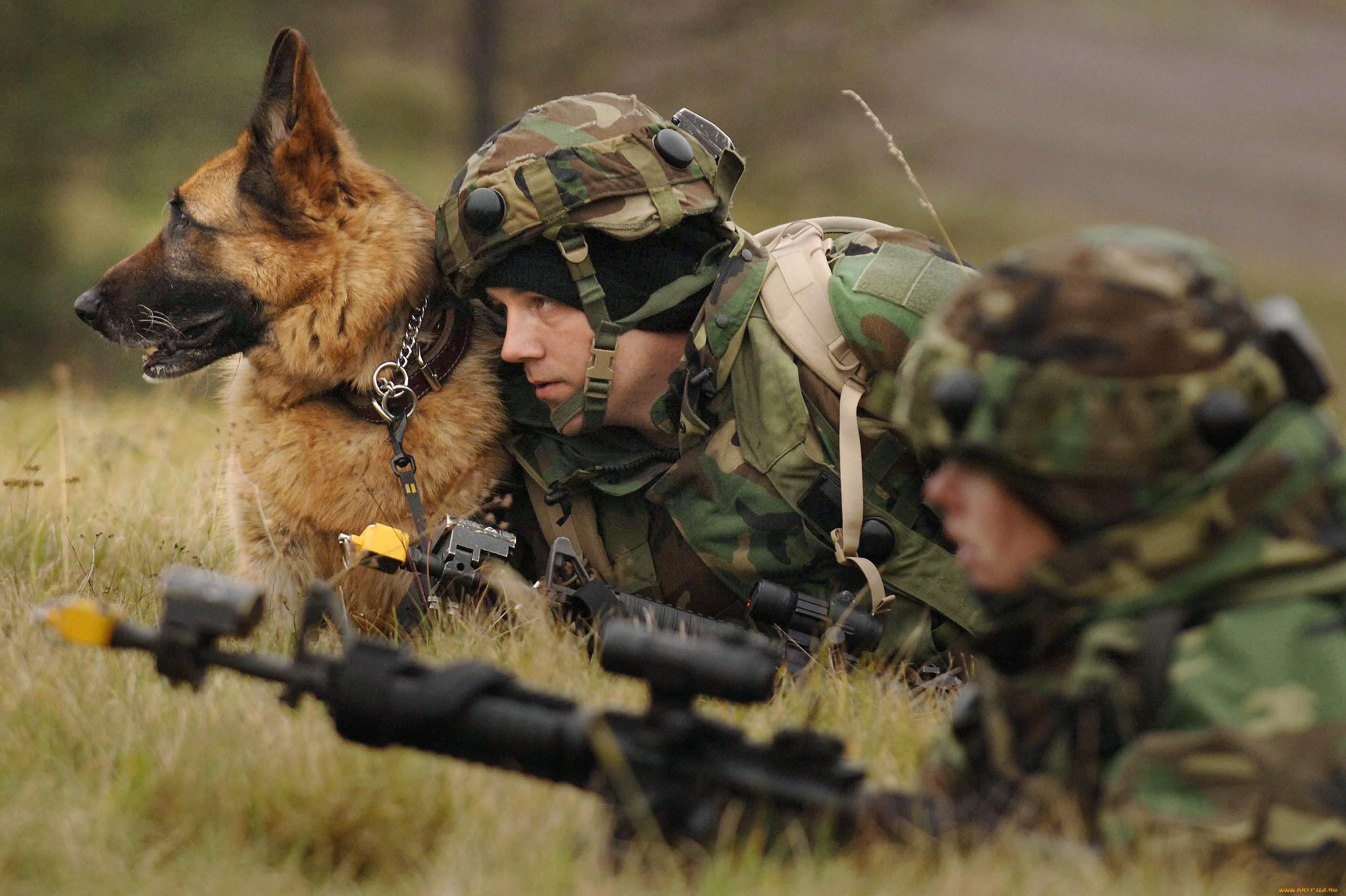 Военно боевой